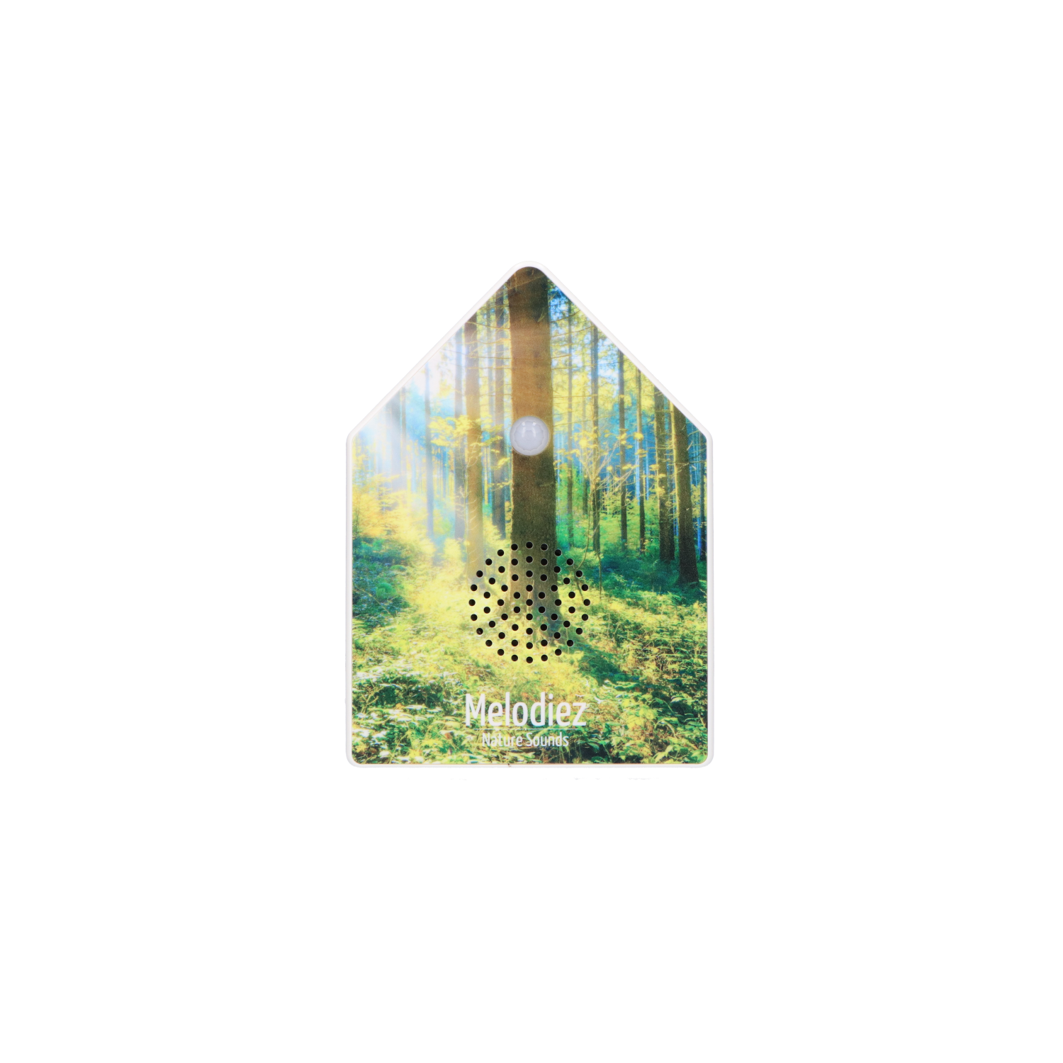 Melodiez Nature Box Forest Light: Freistehendes Produktfoto
