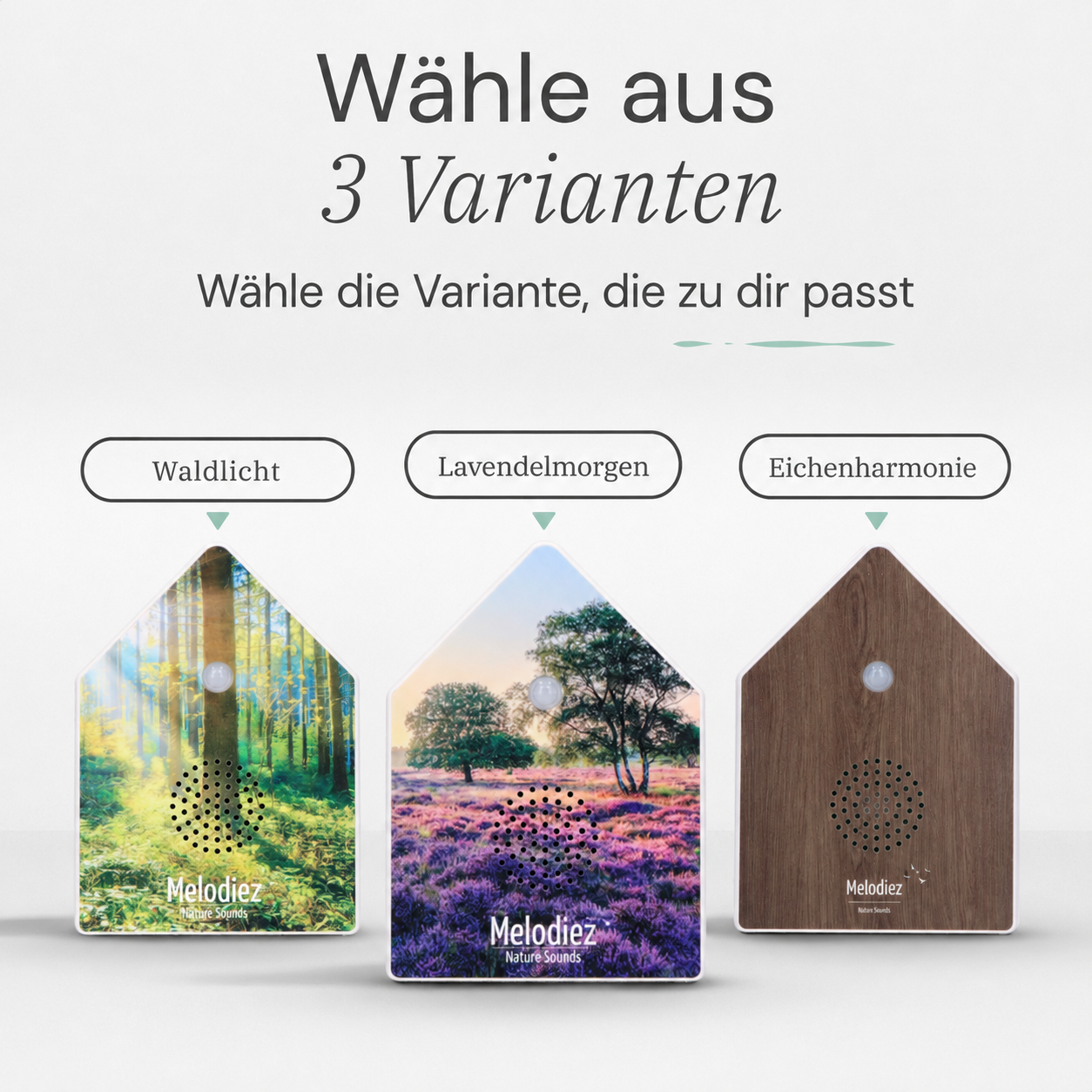 Melodiez Nature Box Forest Light: Verfügbare Varianten