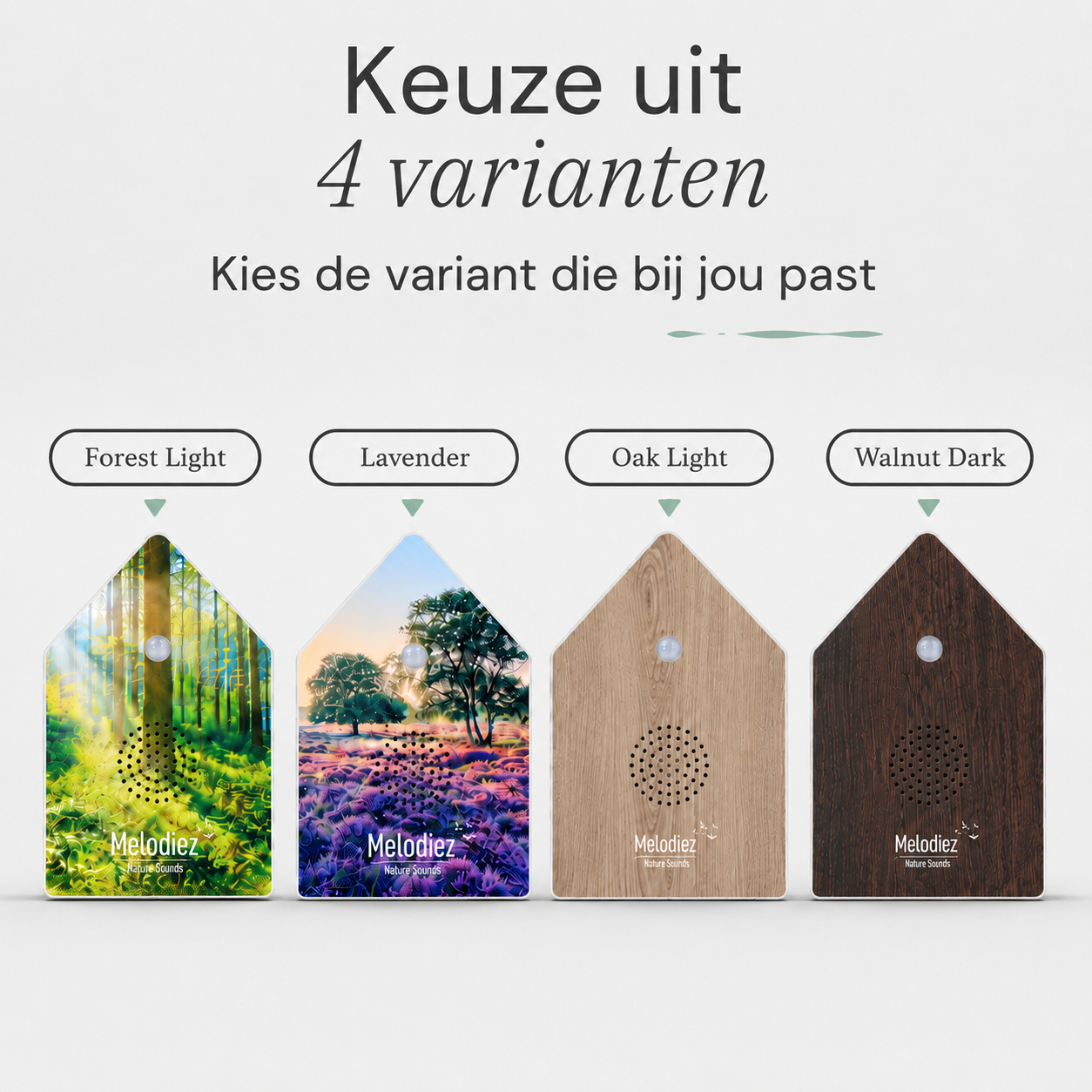 Melodiez Nature Box Deluxe Oak Light: Verfügbare Varianten
