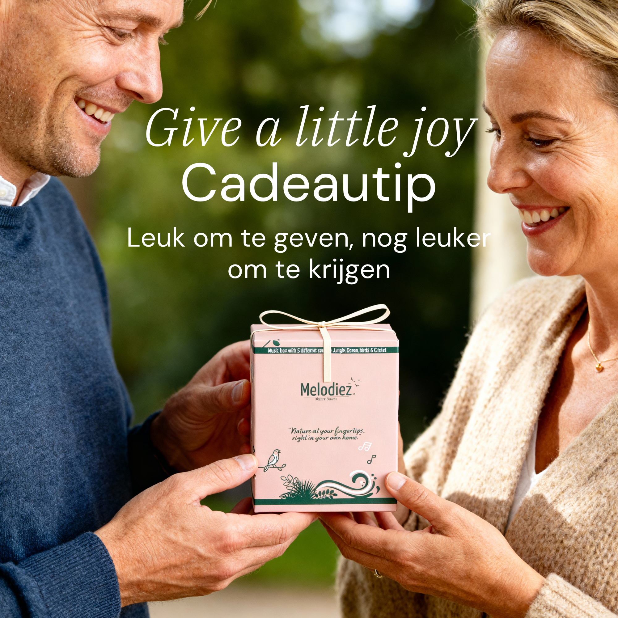 Melodiez Nature Box Deluxe Oak Light: Edle Geschenkverpackung